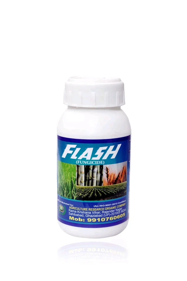 FLASH