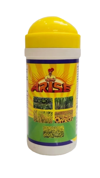 ARISE