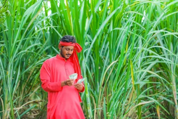 PGR's Bio Fertilisers