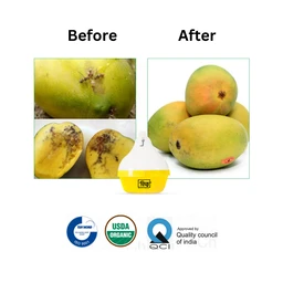 Chipku Fruit fly (All Fruit Crops)