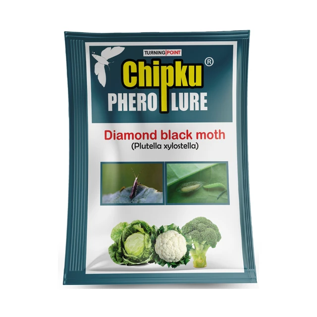 Chipku Lure : Plutella Xylostella (10 Pcs)