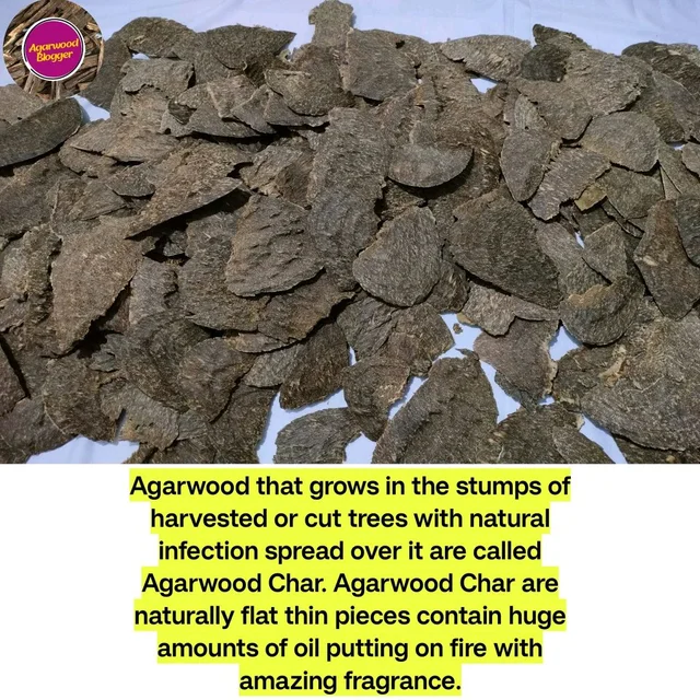 Agarwood Char 100gm