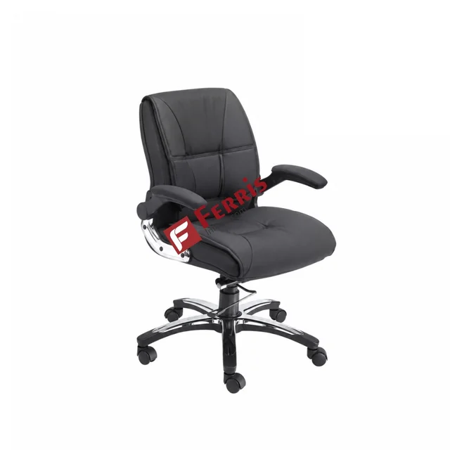 Ferris DIRECTOR CHAIR FDC 105 MB