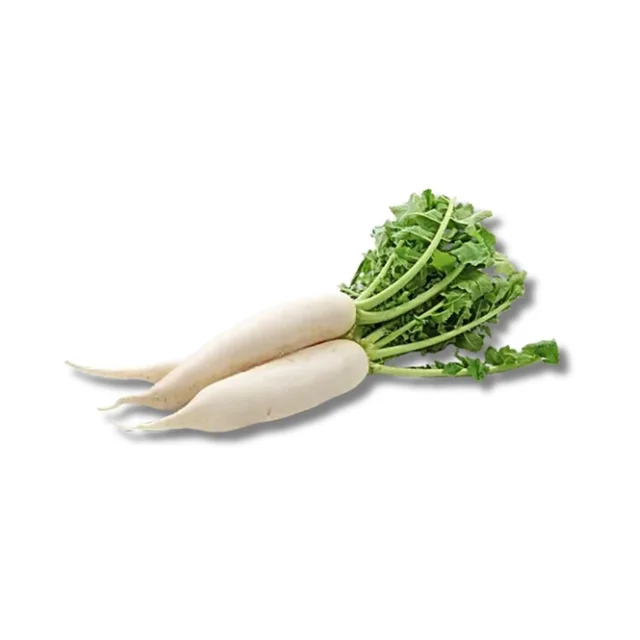Radish (Mooli)