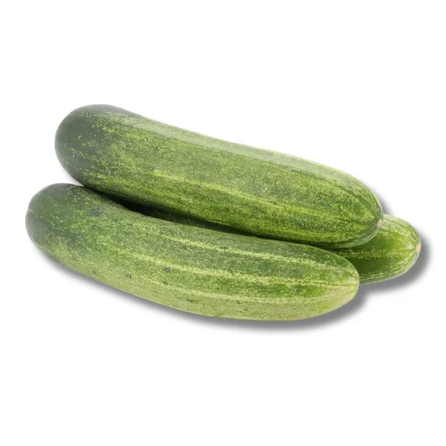 Cucumber Hybrid