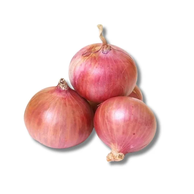 Onion