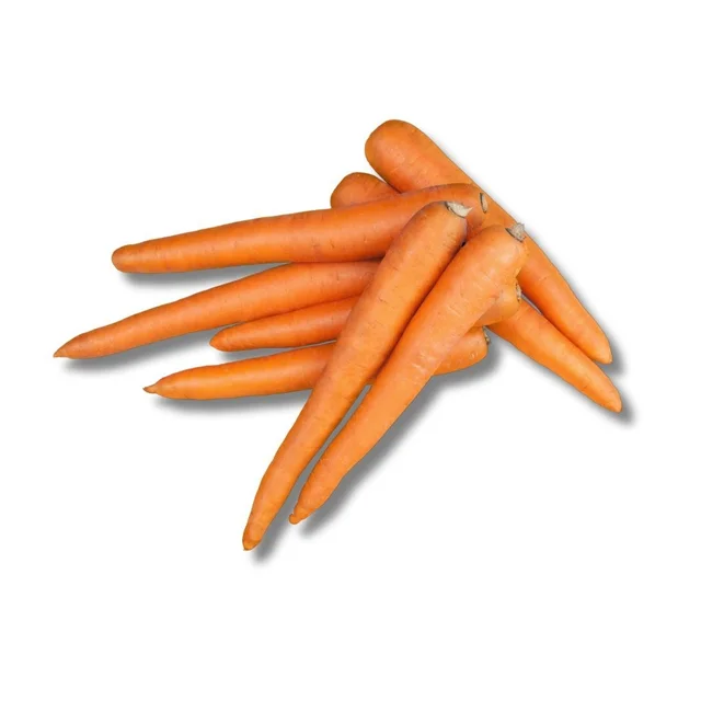 Carrot- Orange