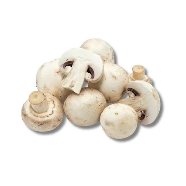 Button Mushroom