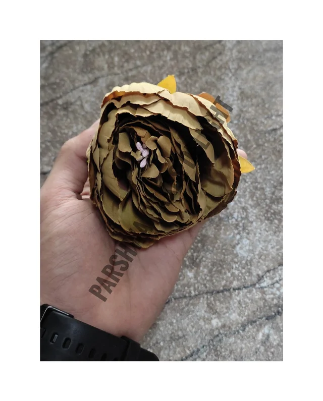 BIG PEONY