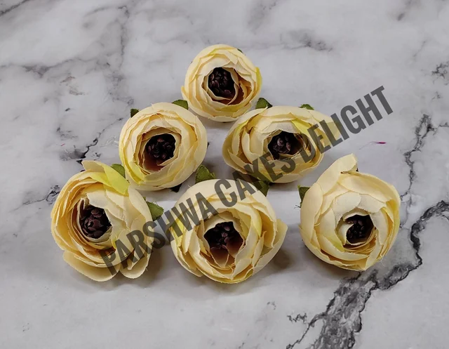 SMALL PEONY - DELIGHT 252, 6 PCS