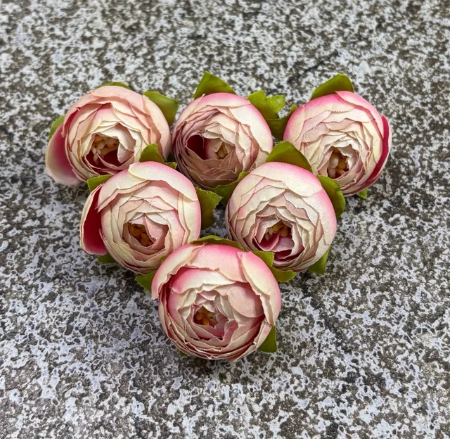 SMALL PEONY - DELIGHT 255, 6 PCS