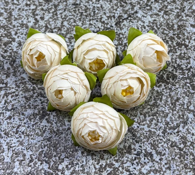 SMALL PEONY - DELIGHT 256, 6 PCS