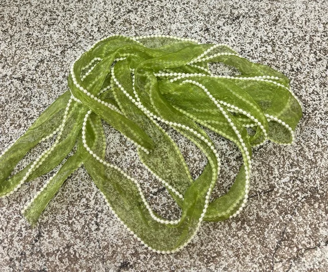 Pearl Organza Ribbon - 3 Mtr, Delight 4