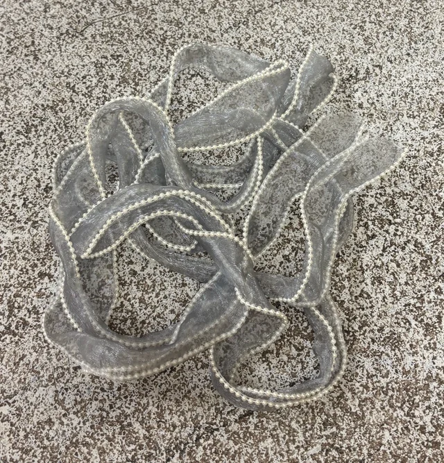 Pearl Organza Ribbon - Delight 10, 3 Mtr