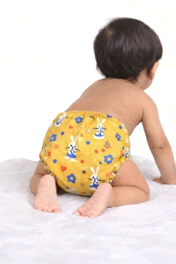 Baby Reusable Diaper