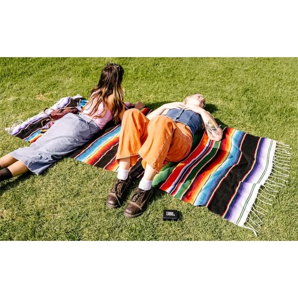 JBL GO2 Portable Bluetooth Speaker with Mic - Cinnamon - Cinnamon