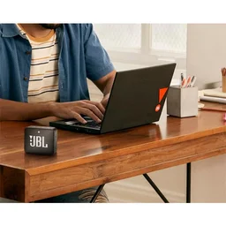 JBL GO2 Portable Bluetooth Speaker with Mic - Cinnamon - Cinnamon