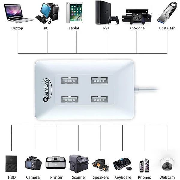 Quantum QHM6633 4-Port Hi-Speed USB Hub (Multicolor)