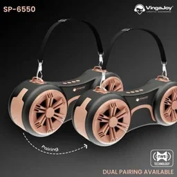 VingaJoy SP-6550 Auto Beat Portable Wireless Speaker