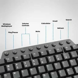 Zebronics JUDWAA 555 Combo Mouse and Wired USB Laptop Keyboard