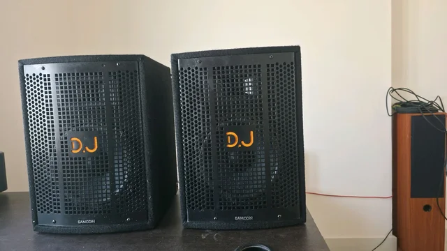 Samcon DJ Box 2 Way SPEAKER