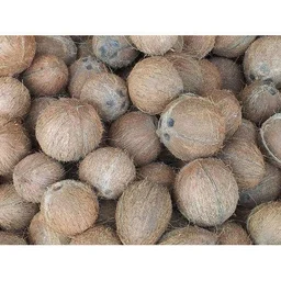 Coconut 