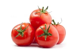 TOMATO (தக்காளி)