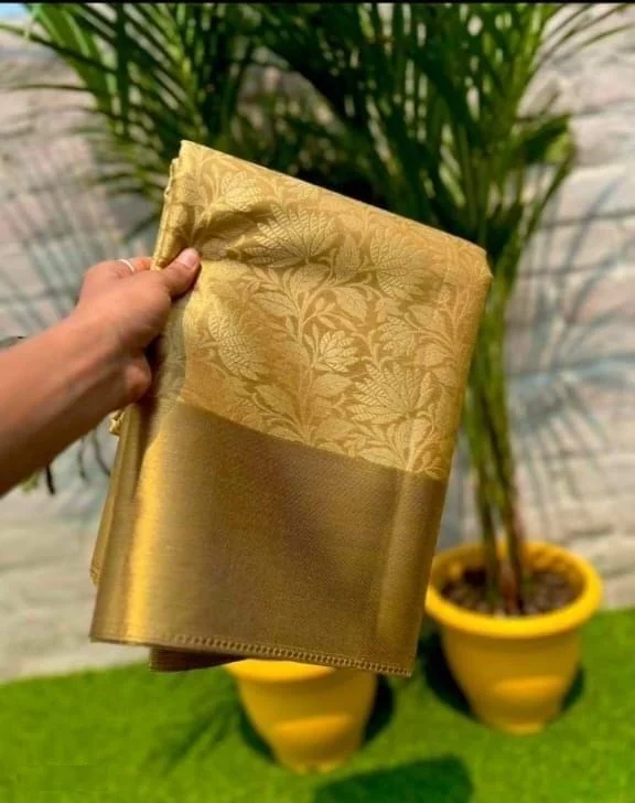 Women’s Banarasi Tissue Silk Saree – Celebrity Style Party Saree