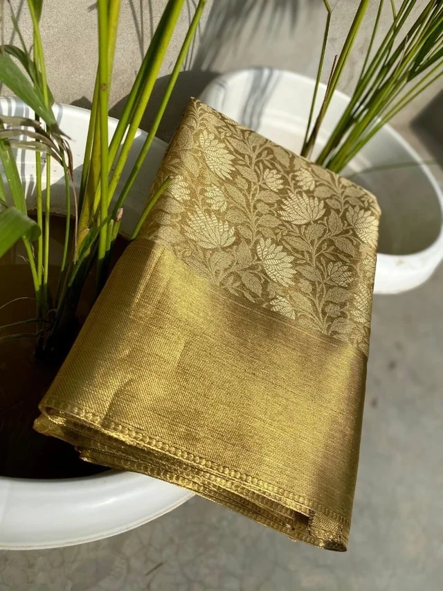 Women’s Banarasi Tissue Silk Saree – Celebrity Style Party Saree