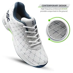 KD DSC Biffer 22 Cricket Shoes for Men - UK / IND 8