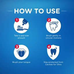 PEPSODENT 100GM