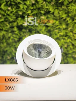 LX 865 30W Round Zoom Deep Recessed COB Downlight - 30W, 6000K