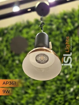 APRA361 9W BK RG Surface Hanging Light