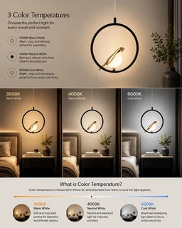 APRA AP1021 1P 10W Luxury Bird Hanging Pendant Light - 3CCT Matte Black Ring Circular LED Chandelier with Premium Shiny Gold Bird for Living Room & Bedrooms - Black