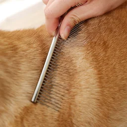 Jivanpetking Dog Steel Comb - SILVER
