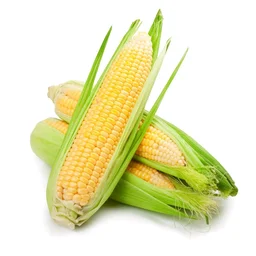 Indian Corn Cob/ Desi Bhutta, 2 Pcs