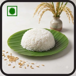White Rice