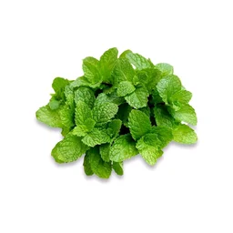 Mint Leaves (Without Roots) (Pudina) 1kg - 1kg