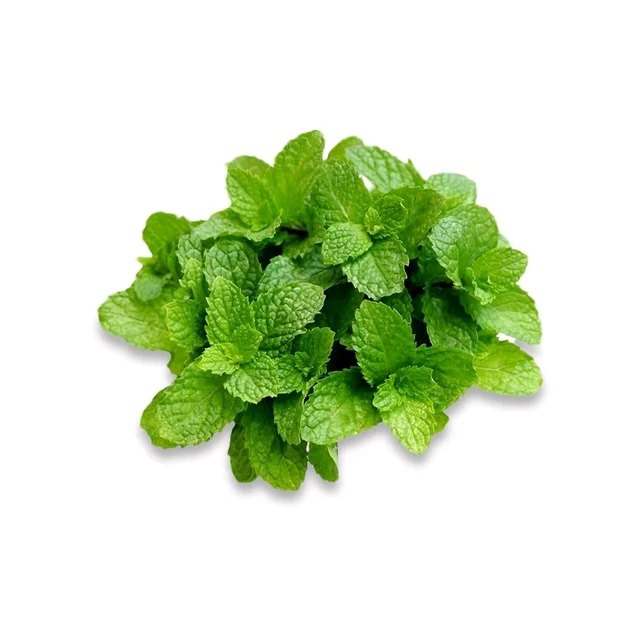 Mint Leaves (Without Roots) (Pudina) 1kg - 1kg