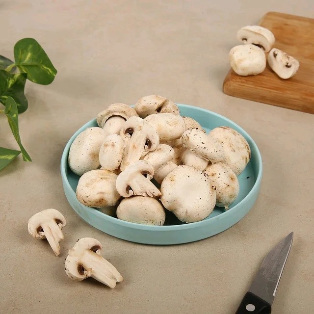  Mushroom Button (Medium Quality) 