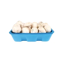 Mushroom Button (Medium Quality) - 1kg