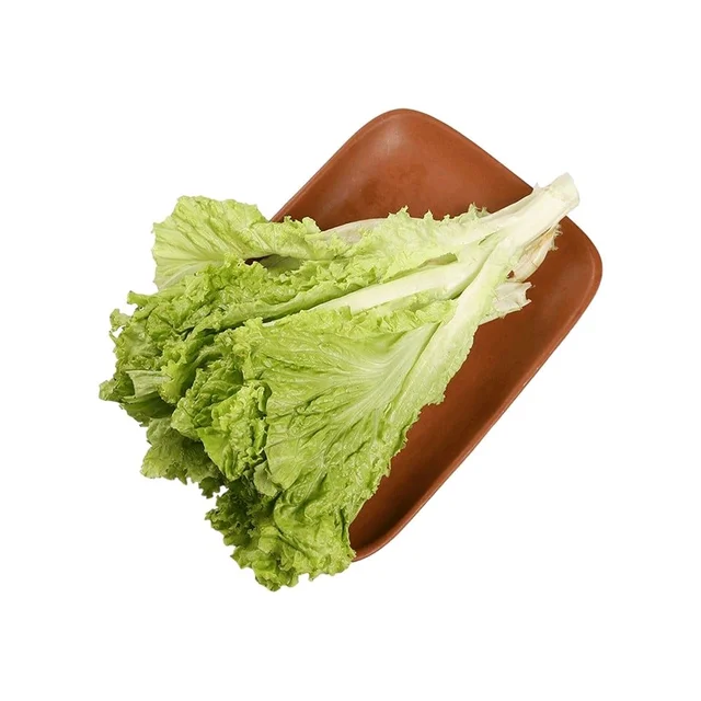 Green Lettuce (1kg) - 1kg