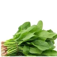 Palak
