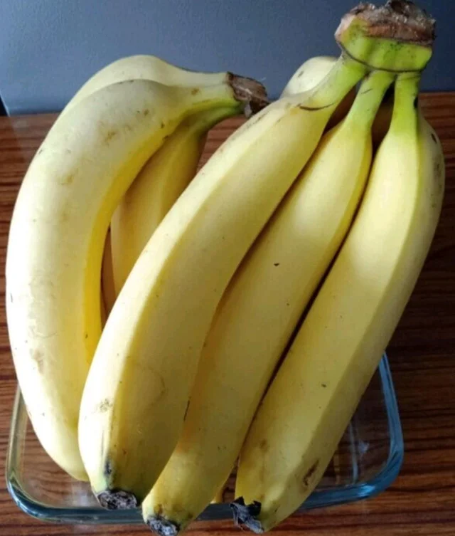 BANANA(ROBUSTA)