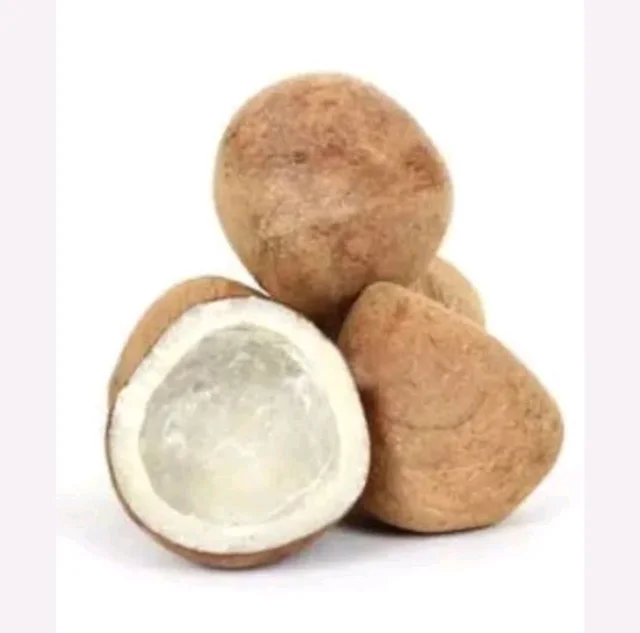 Gadi(Dry Nariyal)