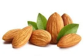 BADAM