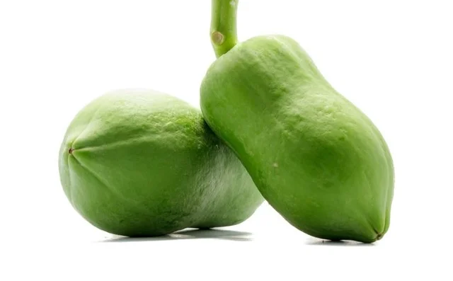 Papita Kaccha