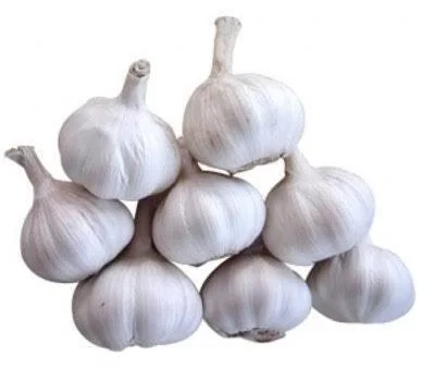 Garlic (Lahsun)
