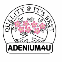Adenium4u Adenium4u - Logo