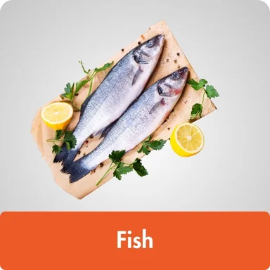 Fish